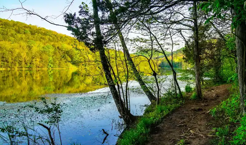 move to Northwest Arkansas