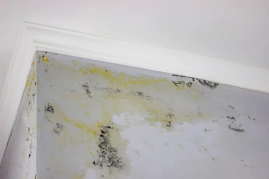 roof leak