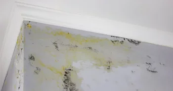 roof leak