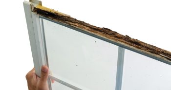 wood rot window damage